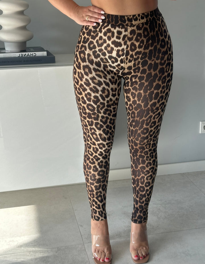 Leo Leggings